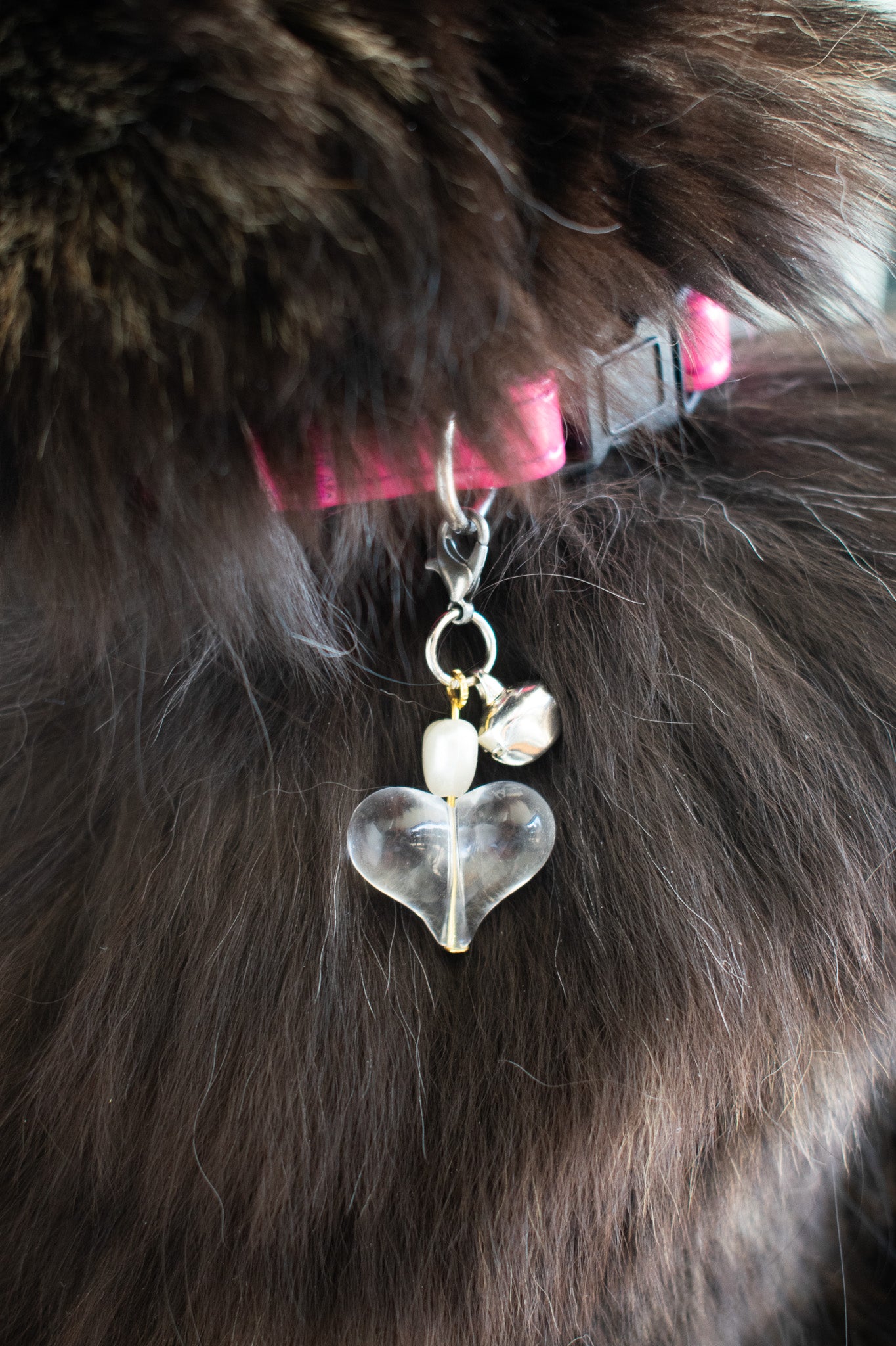 Pet Necklace Charm